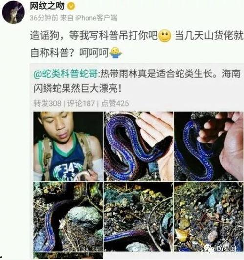 小宇哥最新八卦爆料,娱乐圈最新劲爆八卦大揭秘!